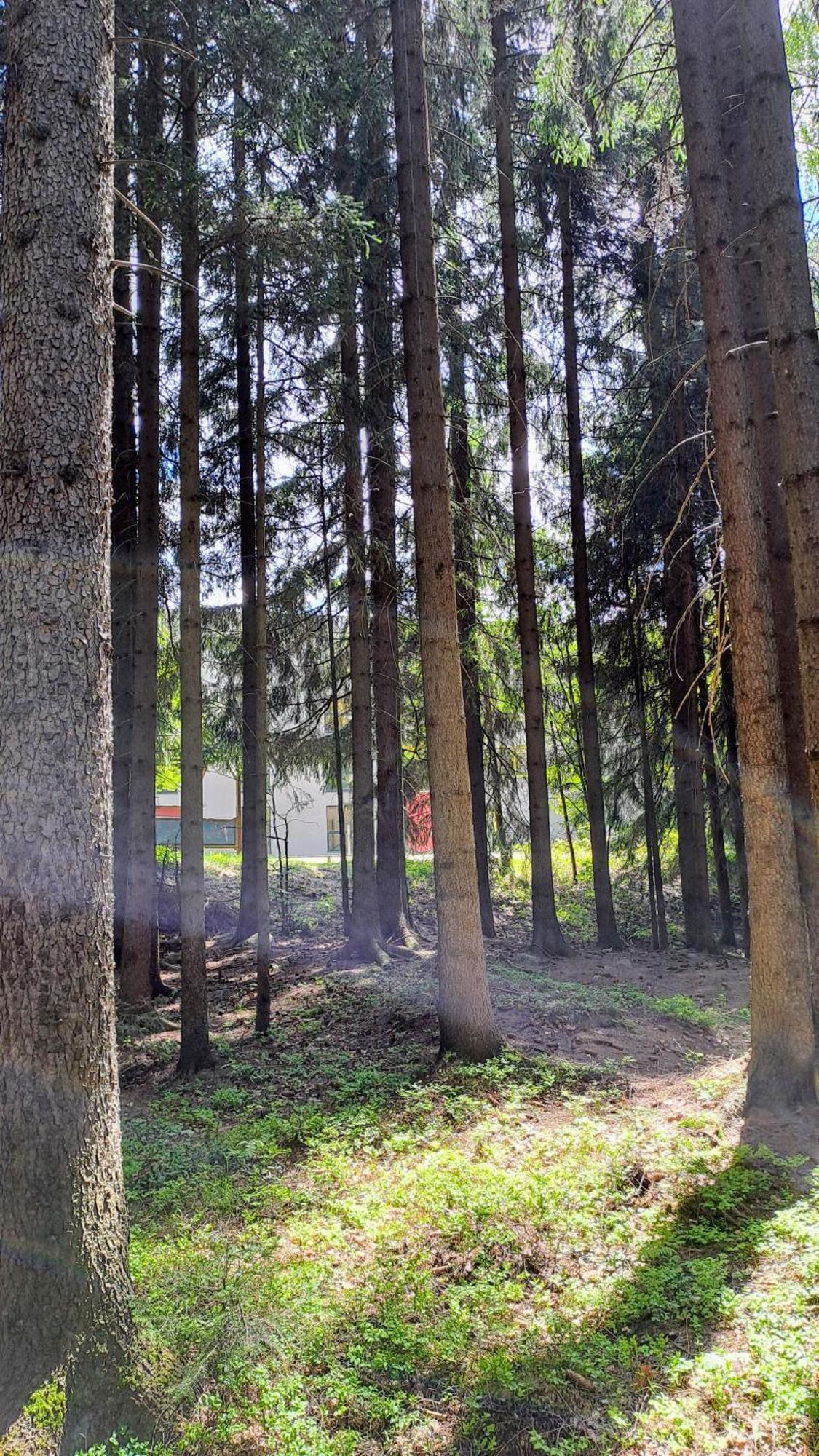 Plne Vybaveny Apartman Pod Mumlavskym Vodopadem, Zahrada S Ohnistem, Idealni Vychozi Bod Pro Turistiku, U Cesty Na Hrebeny, Kousek Do Centra, Absolutni Klid, Vybaveny I Pro Deti, Wellness A Fitko Naproti Harrachov Exterior photo